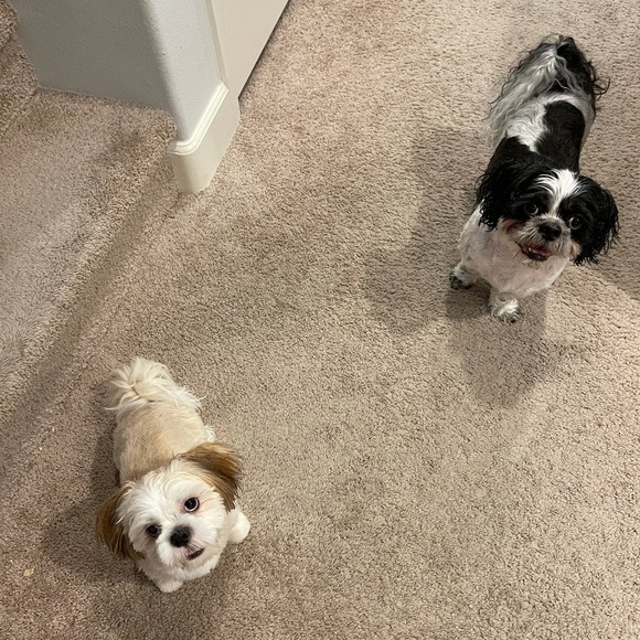 Meet your Posher, Etsuko - Picture 1 of 1